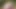 Pornstar Penelope Lynn queening Samantha Rone