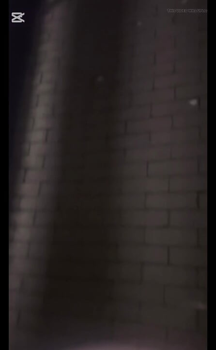 Public Dickflash Compilation