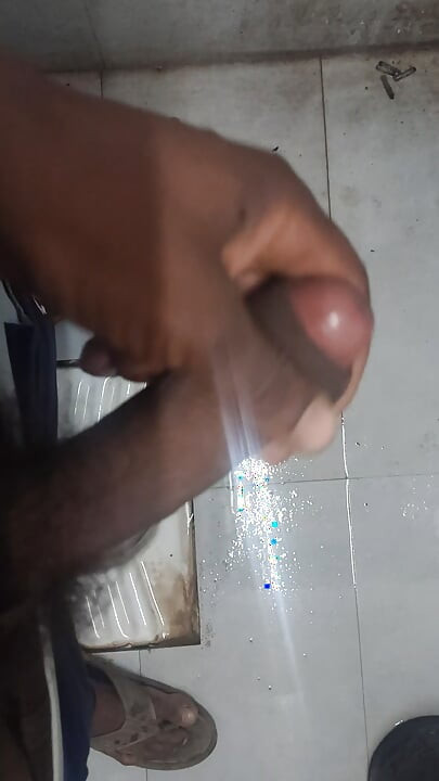 Pau grande, lande bem grosso