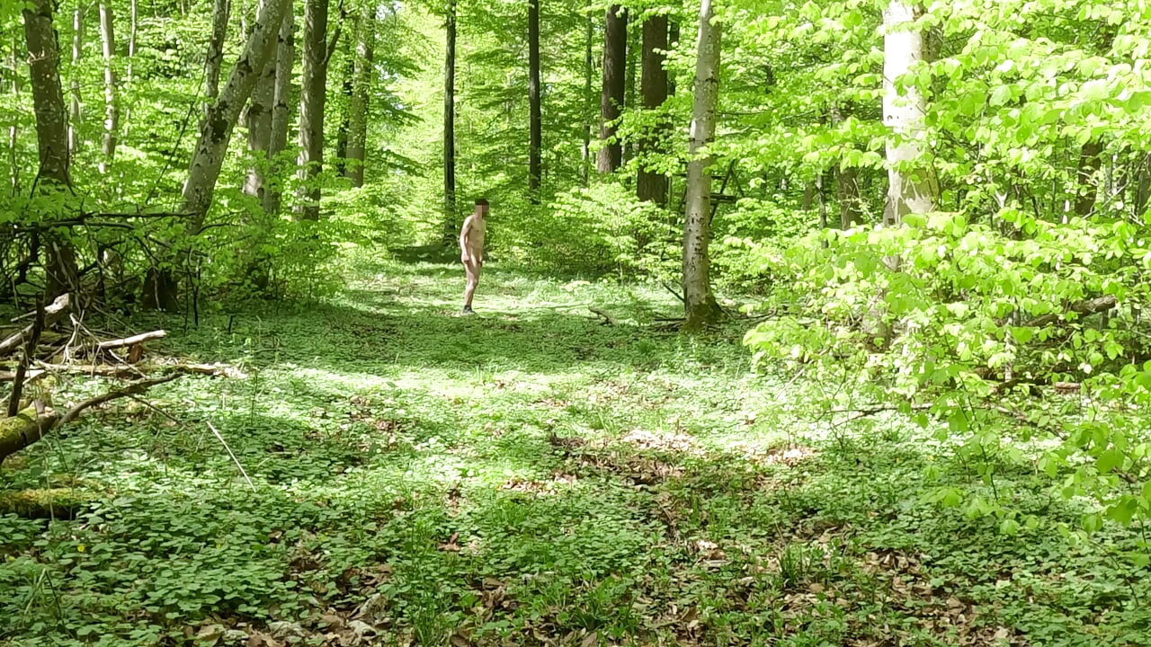 Nude walk in the woods, wanking and huge cumshot