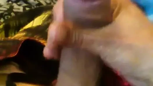 İki çatallı tacı olan yeşil manalishi