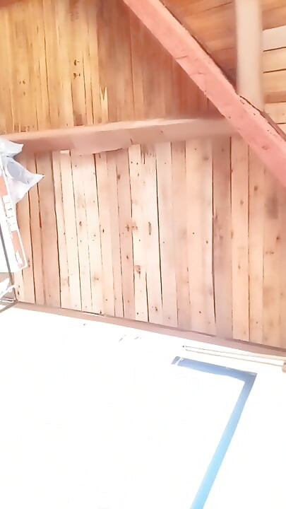 Eva Sucking Cock and Fucking
