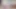 Furry femboy pup xl rex ile ısınıyor