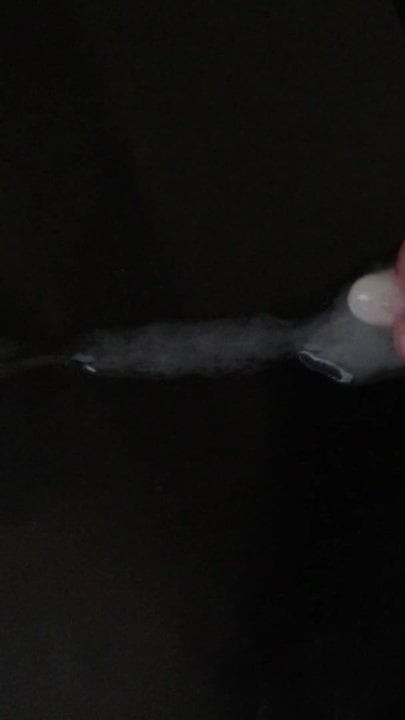 my penis