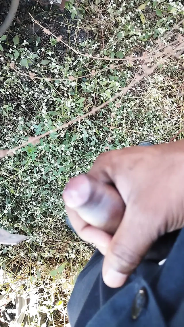 Desi Bhabhi And Desi Boy
