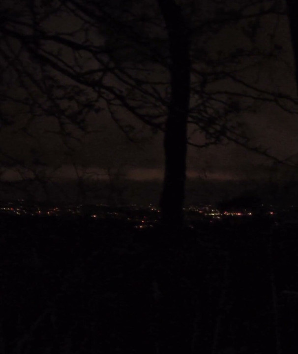 Orgasme ruiné dans les bois la nuit