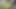 Compilation of my big erect cock in trav exhibition intense wanking and abundant ejaculation