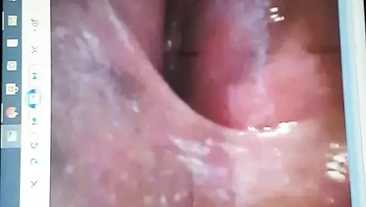 Cum üzerinde nasssonass kedi