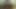 Stepfather Bearded - Motoboy Took Me to the Woods Rough Anal Sex, Without a Condom and on the Motorcycle