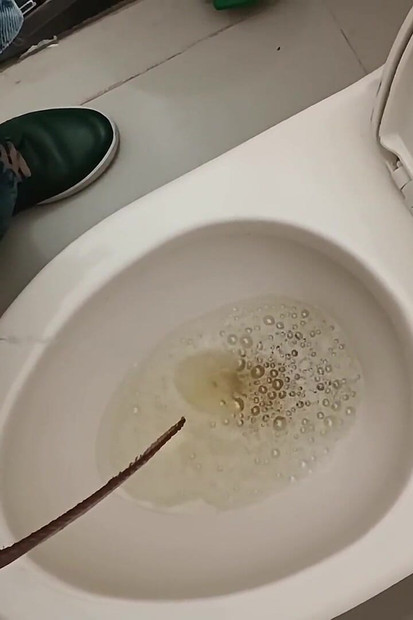 大卫大师的米达斯尿精选集