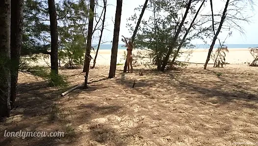 Seks di pantai