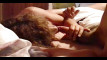 Pregled videozapisa