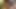 Earl masturbates again and finally cums almost hitting his phone camera