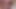 Retro porno yıldızlarıyla iyi geçiniyor