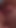美しい濡れて脂っぽい膣と胸のクローズアップ |クリップ2