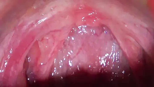 Ich habe meinen freund geschrumpft