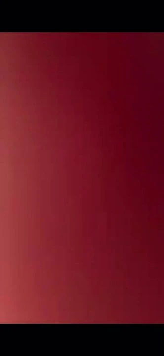 Cock Bitch