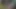 Du wirst für immer eine jungfrau sein! SPH