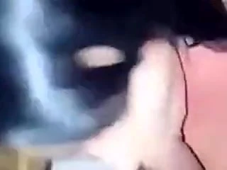 Go pusi kako luda