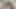 I am a sex worker and I work paid My 8 inch cock is strong I
