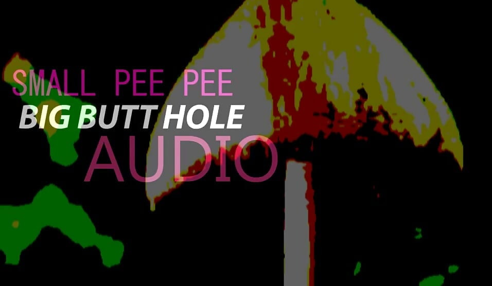 Petit pipi, gros cul, audio