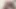 Bareback Bussy #1 - Scene 4