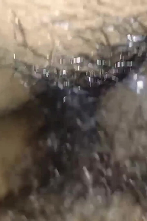 Bhabhi or Devar