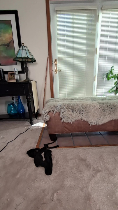 Masturbating My Hairy Pussy with My Favorite Dildo