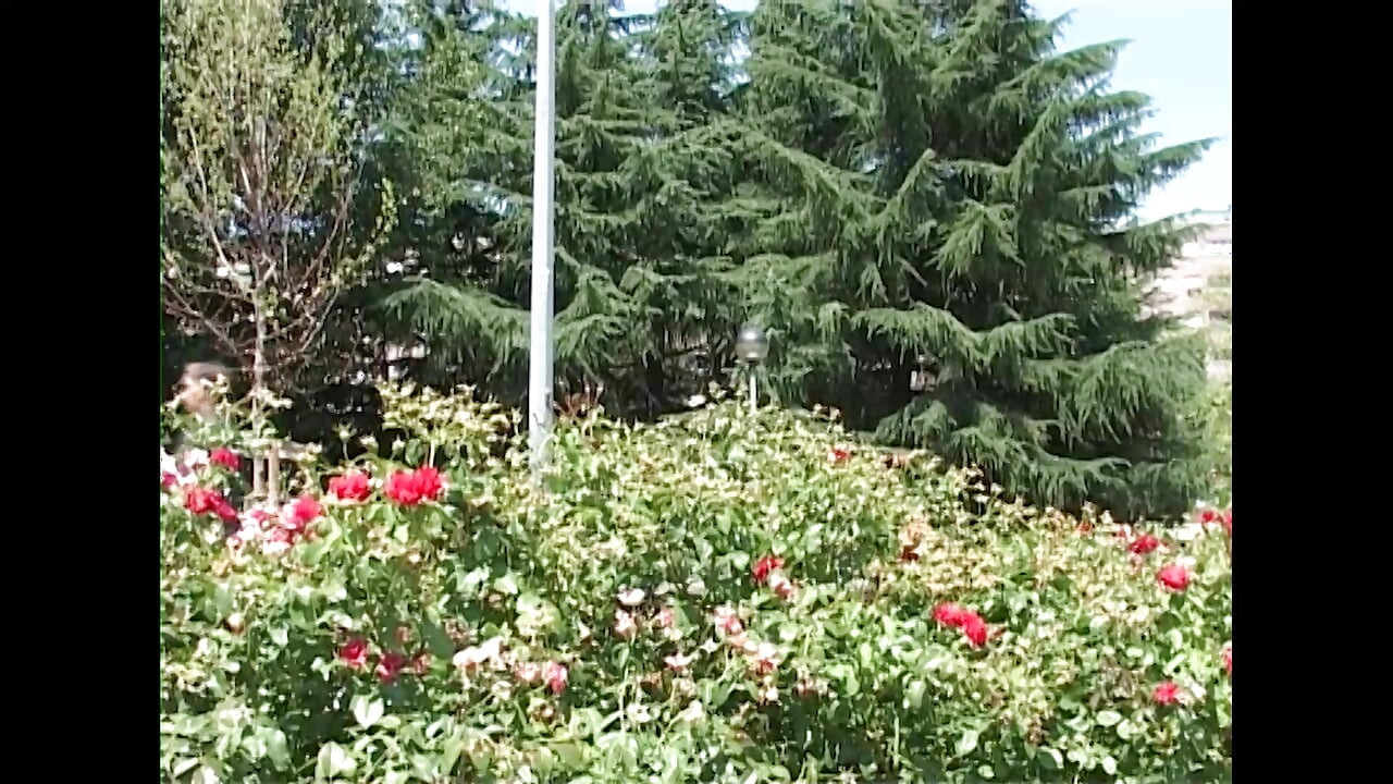 Si jalang berpeluh suka dikongkek oleh lelaki muda