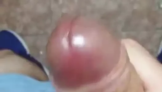 Verga madura buscando cola