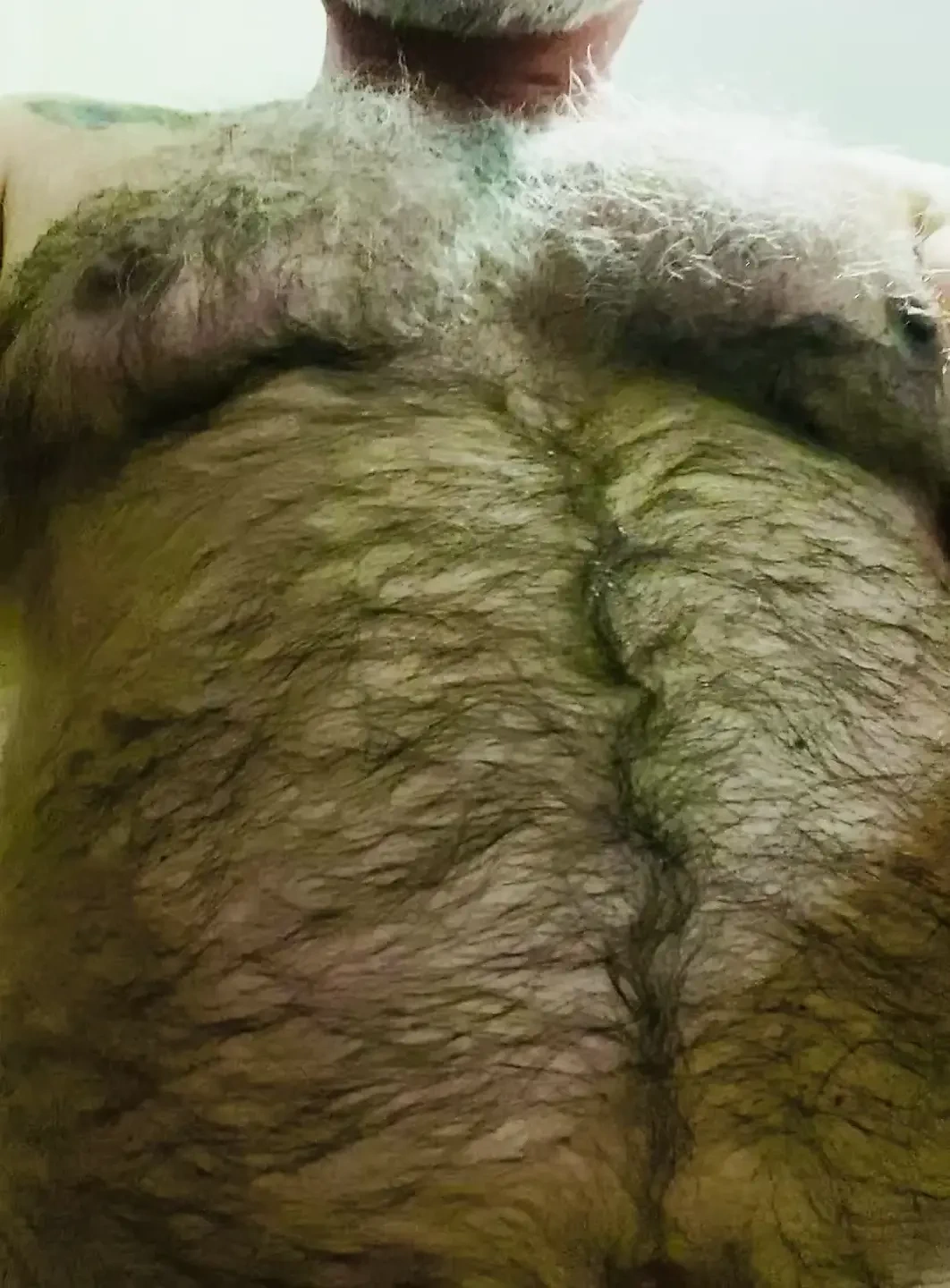 Hungry Little Monster Bear