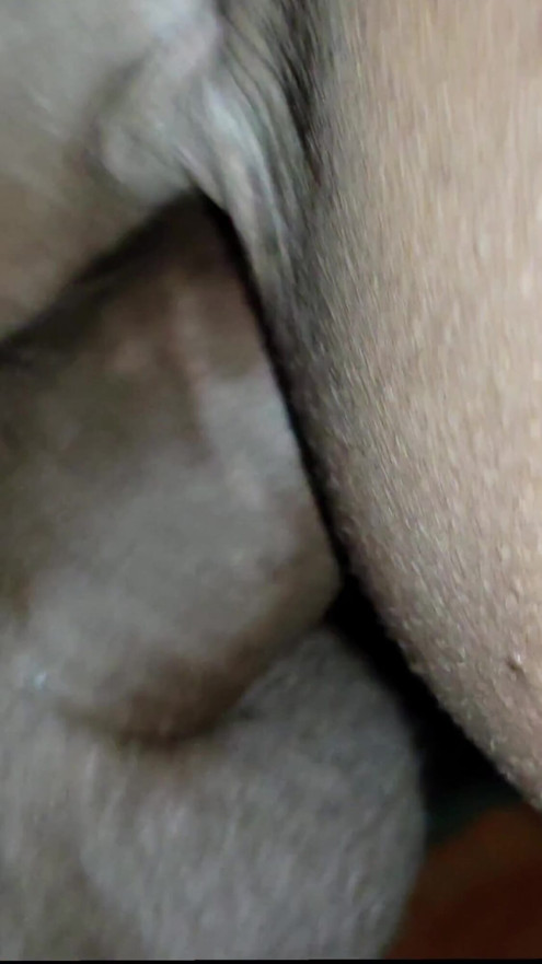Desi new Sex My stepsister and her best friend offer me their pussies and ass desi threesome fuck | Clip 2