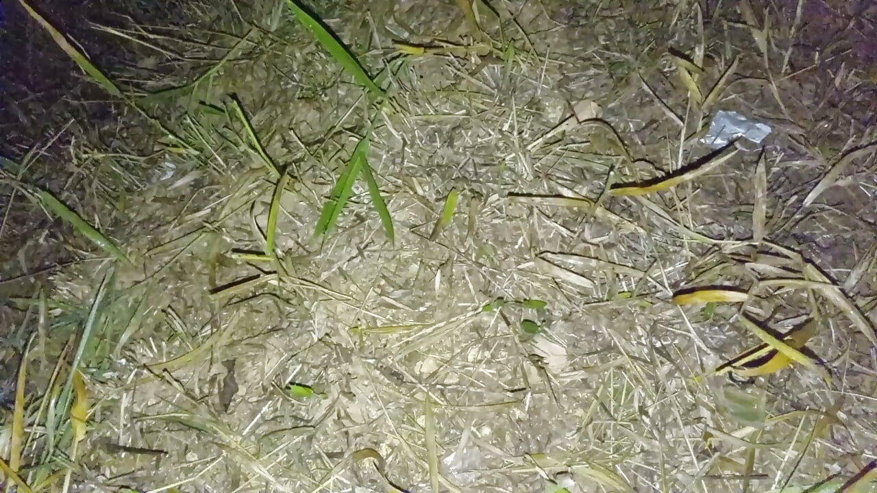 Nepali aunty lover night doggy styal sex video nepali audio