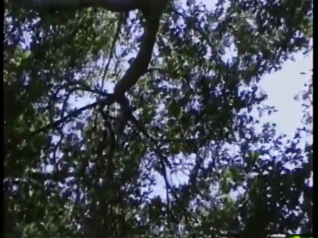 Ribanc mélyen veszi a farkat a szabadban