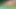 Kolombiyalı porno genç penis sütle dolu senin için hazır
