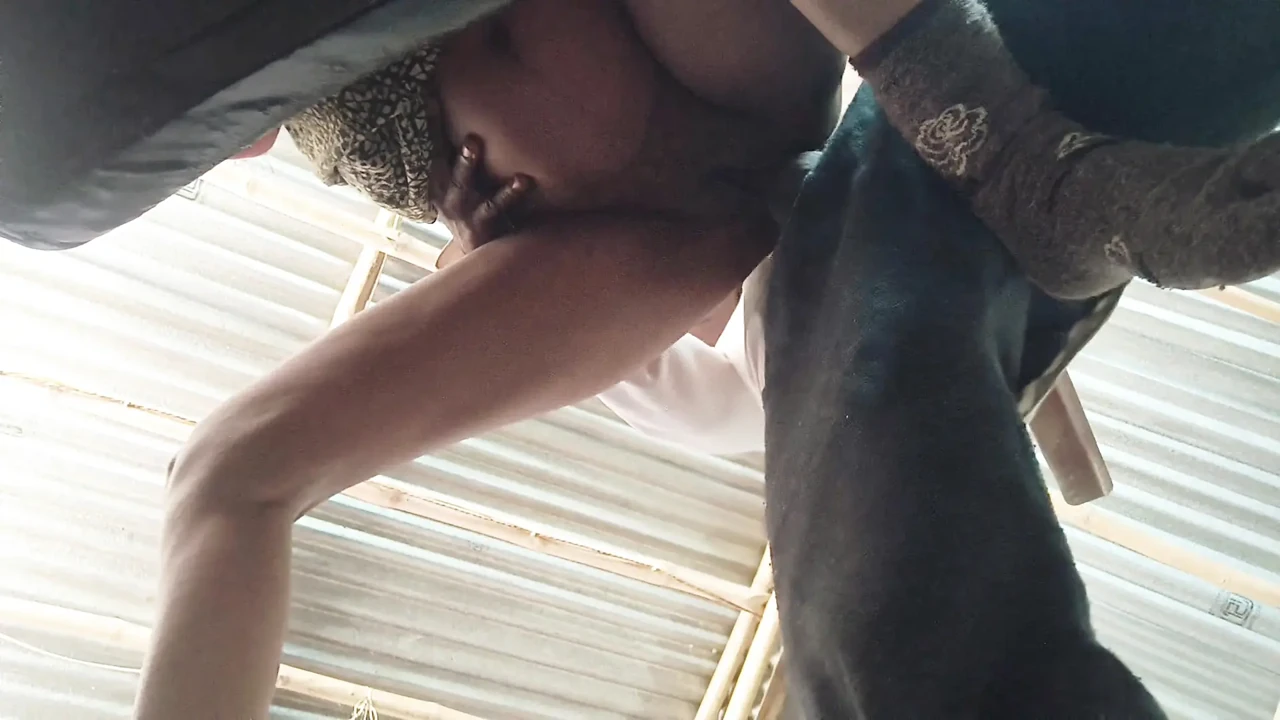 Season 102. Housewife Fuck With Husband's Brother