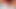 Playing with the dick  BBC Shooting load masturbation