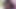 美しいセクシーなブランデーとブーツと厚いコック