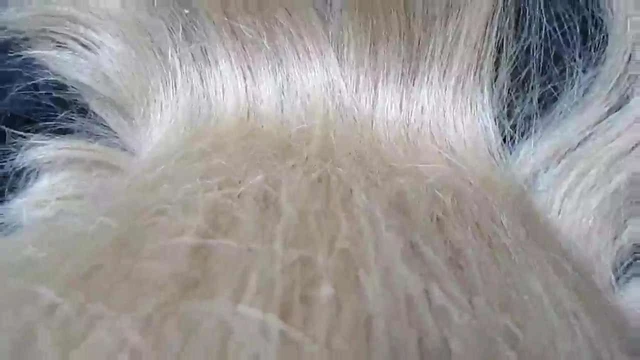 Meister - T - Naturblonde Haare