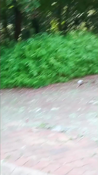 Parkta dışarıda kalın bir dölle mastürbasyon yapıyor.
