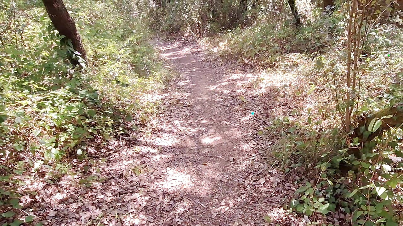 Risky Nature Walk Jerk Off - Got Super Horny and Stroked My Cock Outside