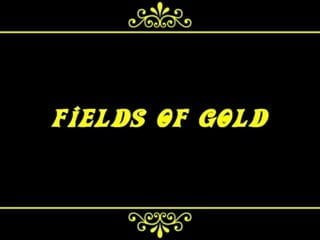 Fields Of Gold