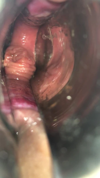 Cusco to Anal