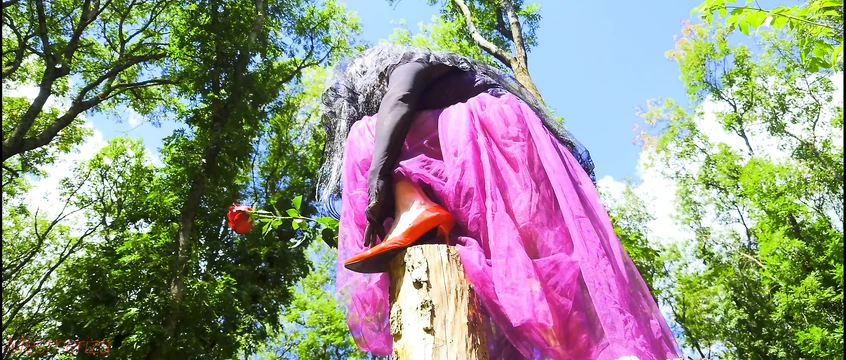 Forest Dancing