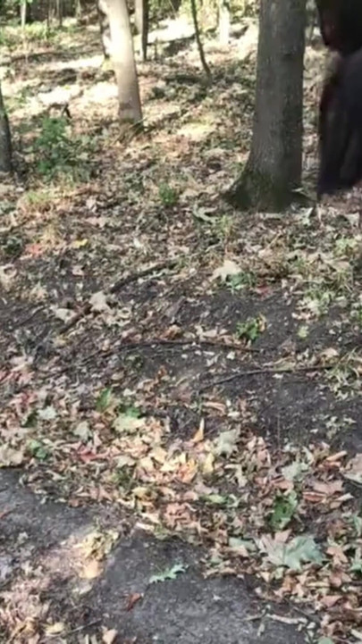 My ex keeps calling my phone while I’m sucking my new guy off in the park! | Clip 1