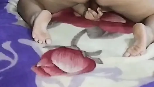 Seksi tavşan