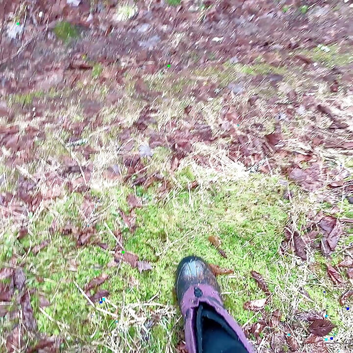Pillu pissaa vettä kivelle