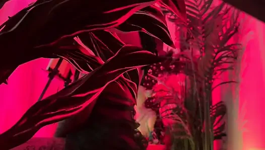 Red passion bts mit Wetkittycity