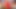 赤毛の娼婦に人生で最もハードな喉ファックをします