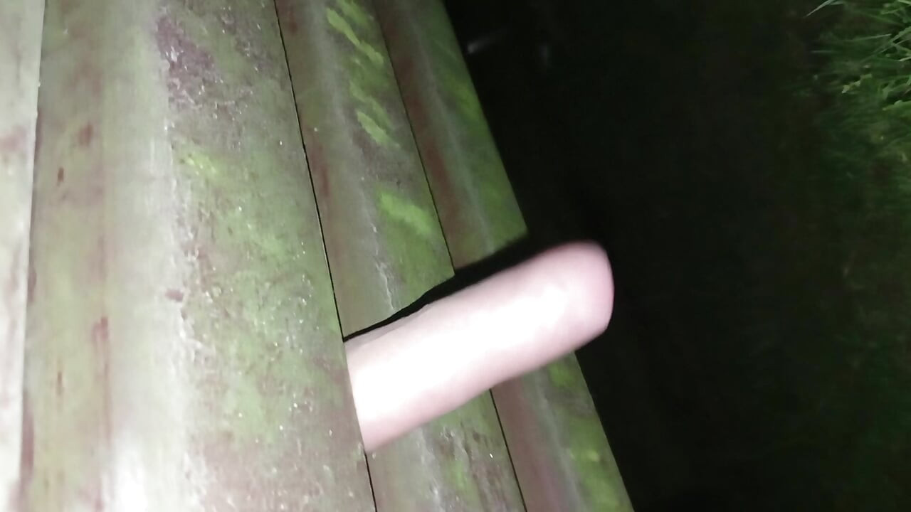 fucking the bank in the Park at night